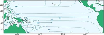 Pacific Equatorial Undercurrent: Mean state, sources, and future changes across models